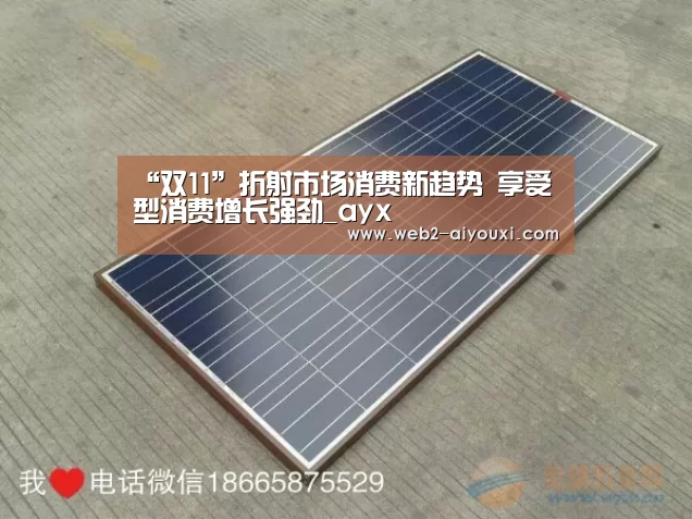 “双11”折射市场消费新趋势 享受型消费增长强劲_ayx(图1)